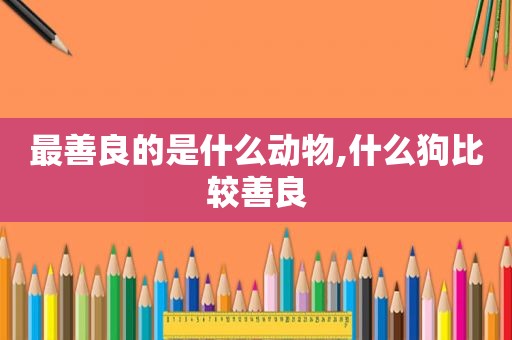 最善良的是什么动物,什么狗比较善良