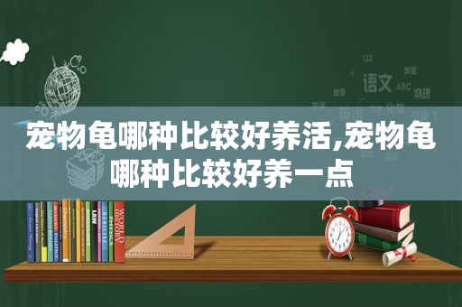 宠物龟哪种比较好养活,宠物龟哪种比较好养一点