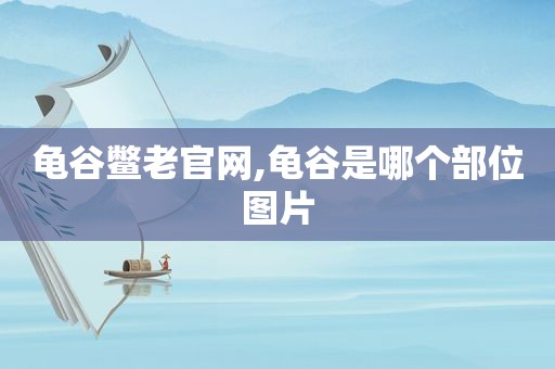 龟谷鳖老官网,龟谷是哪个部位图片  第1张