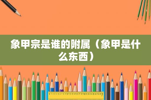 象甲宗是谁的附属（象甲是什么东西）