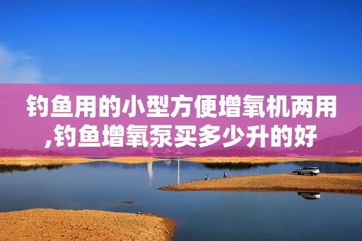 钓鱼用的小型方便增氧机两用,钓鱼增氧泵买多少升的好
