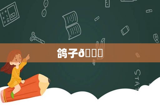 鸽子🕊