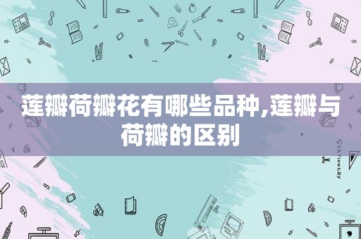 莲瓣荷瓣花有哪些品种,莲瓣与荷瓣的区别