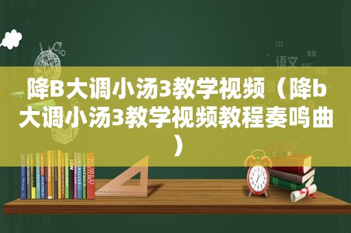 降B大调小汤3教学视频（降b大调小汤3教学视频教程奏鸣曲）