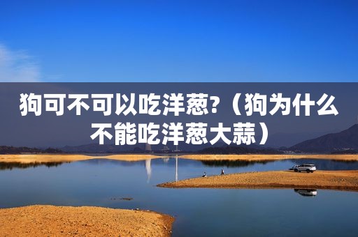 狗可不可以吃洋葱?(狗为什么不能吃洋葱大蒜) 狗可不可以吃洋葱?(狗为什么不能吃洋葱大蒜)