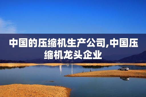 中国的压缩机生产公司,中国压缩机龙头企业