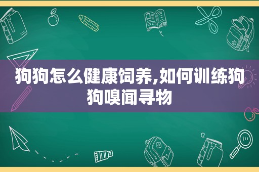 狗狗怎么健康饲养,如何训练狗狗嗅闻寻物  第1张