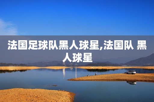 法国足球队黑人球星,法国队 黑人球星