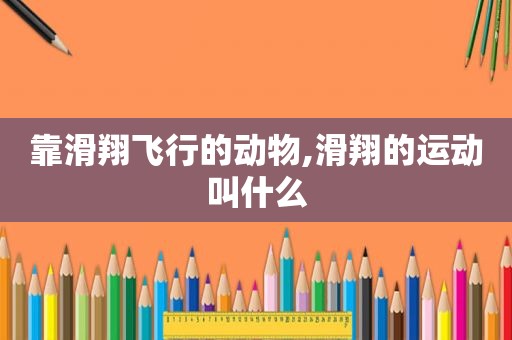 靠滑翔飞行的动物,滑翔的运动叫什么
