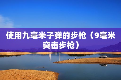 使用九毫米子弹的步枪（9毫米突击步枪）  第1张