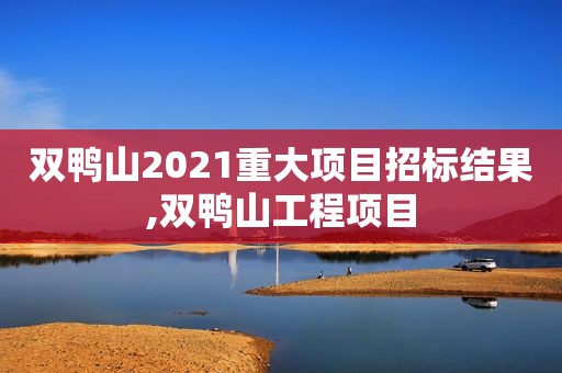 双鸭山2021重大项目招标结果,双鸭山工程项目
