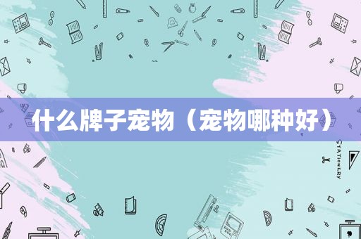 什么牌子宠物（宠物哪种好）