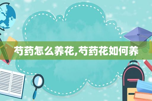 芍药怎么养花,芍药花如何养  第1张