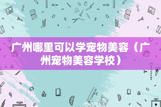广州哪里可以学宠物美容（广州宠物美容学校）