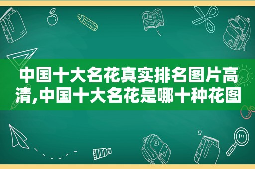 中国十大名花真实排名图片高清,中国十大名花是哪十种花图片
