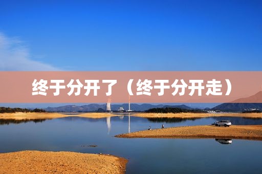 终于分开了（终于分开走）