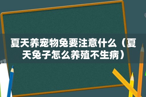 夏天养宠物兔要注意什么（夏天兔子怎么养殖不生病）