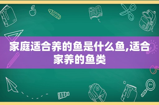 家庭适合养的鱼是什么鱼,适合家养的鱼类  第1张