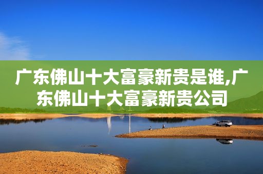 广东佛山十大富豪新贵是谁,广东佛山十大富豪新贵公司