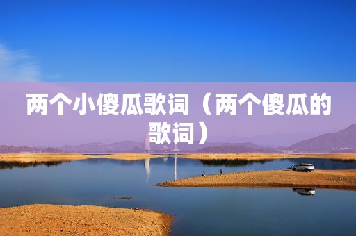 两个小傻瓜歌词（两个傻瓜的歌词）