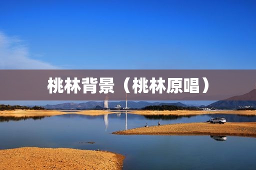 桃林背景（桃林原唱）