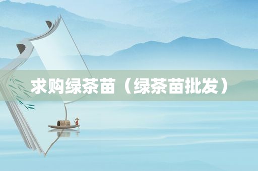 求购绿茶苗（绿茶苗批发）