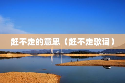 赶不走的意思（赶不走歌词）