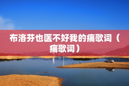 布洛芬也医不好我的痛歌词（痛歌词）