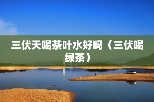 三伏天喝茶叶水好吗（三伏喝绿茶）