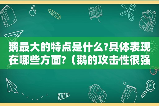 鹅最大的特点是什么?具体表现在哪些方面?（鹅的攻击性很强连狗都不敢惹）