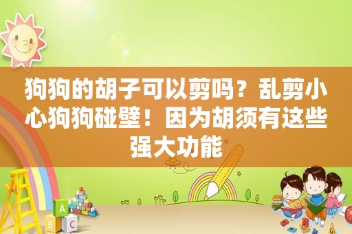 狗狗的胡子可以剪吗？乱剪小心狗狗碰壁！因为胡须有这些强大功能