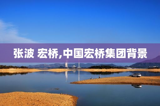 张波 宏桥,中国宏桥集团背景
