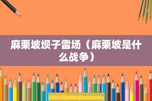 麻栗坡坝子雷场（麻栗坡是什么战争）