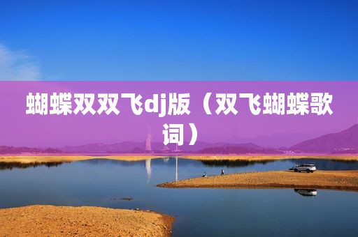 蝴蝶双双飞dj版（双飞蝴蝶歌词）