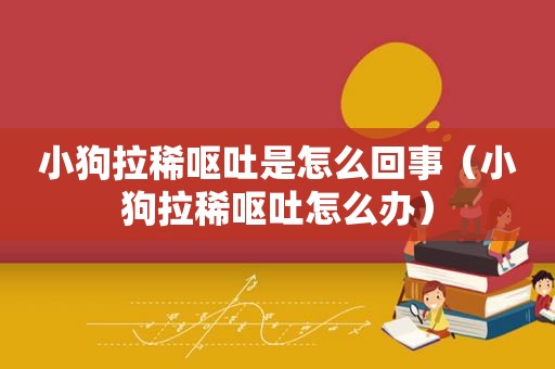 小狗拉稀呕吐是怎么回事（小狗拉稀呕吐怎么办）
