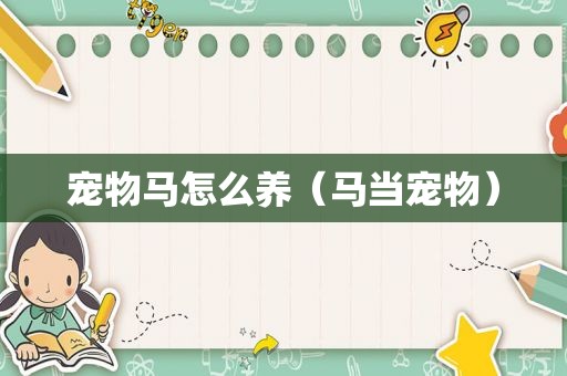 宠物马怎么养（马当宠物）