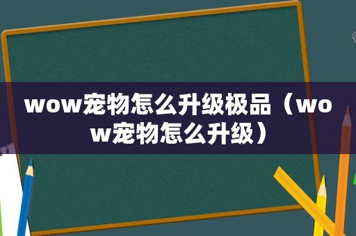 wow宠物怎么升级极品（wow宠物怎么升级）