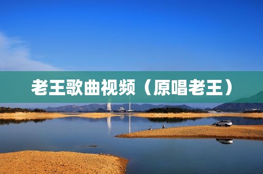 老王歌曲视频（原唱老王）