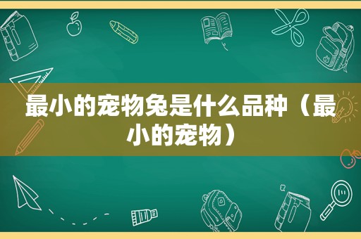 最小的宠物兔是什么品种（最小的宠物）