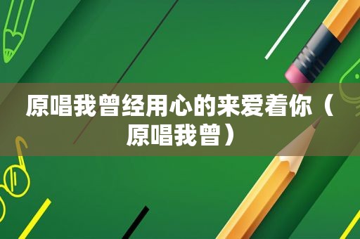 原唱我曾经用心的来爱着你（原唱我曾）