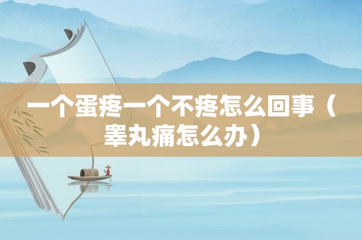 一个蛋疼一个不疼怎么回事（睾丸痛怎么办）