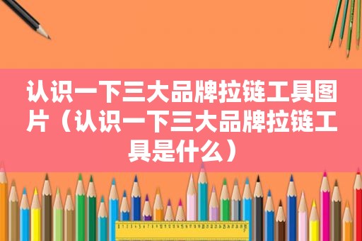 认识一下三大品牌拉链工具图片（认识一下三大品牌拉链工具是什么）
