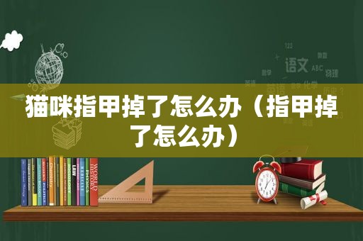 猫咪指甲掉了怎么办（指甲掉了怎么办）