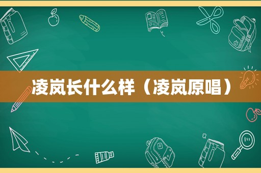 凌岚长什么样（凌岚原唱）