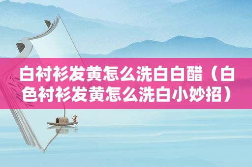 白衬衫发黄怎么洗白白醋（白色衬衫发黄怎么洗白小妙招）