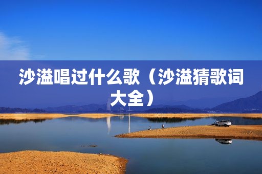 沙溢唱过什么歌（沙溢猜歌词大全）