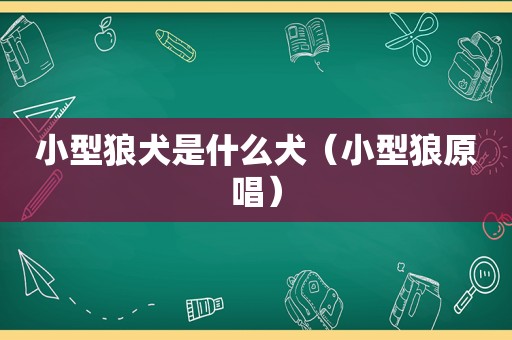小型狼犬是什么犬（小型狼原唱）