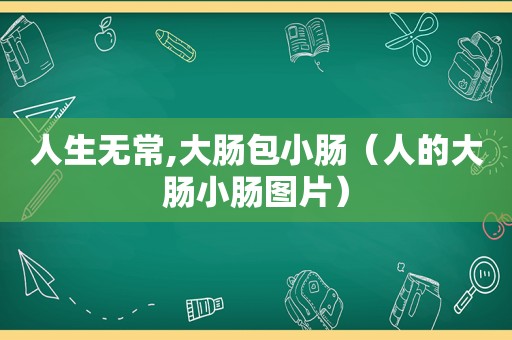 人生无常,大肠包小肠（人的大肠小肠图片）
