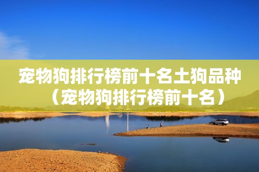 宠物狗排行榜前十名土狗品种（宠物狗排行榜前十名）