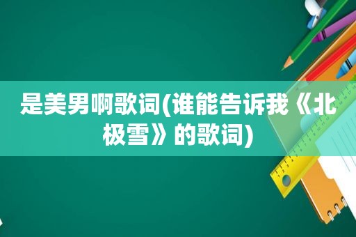 是美男啊歌词(谁能告诉我《北极雪》的歌词)